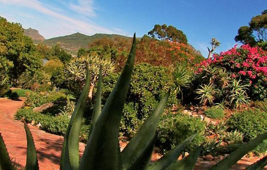 Kaapkloof Manor Villa Hout Bay Kapstadt Exterior photo